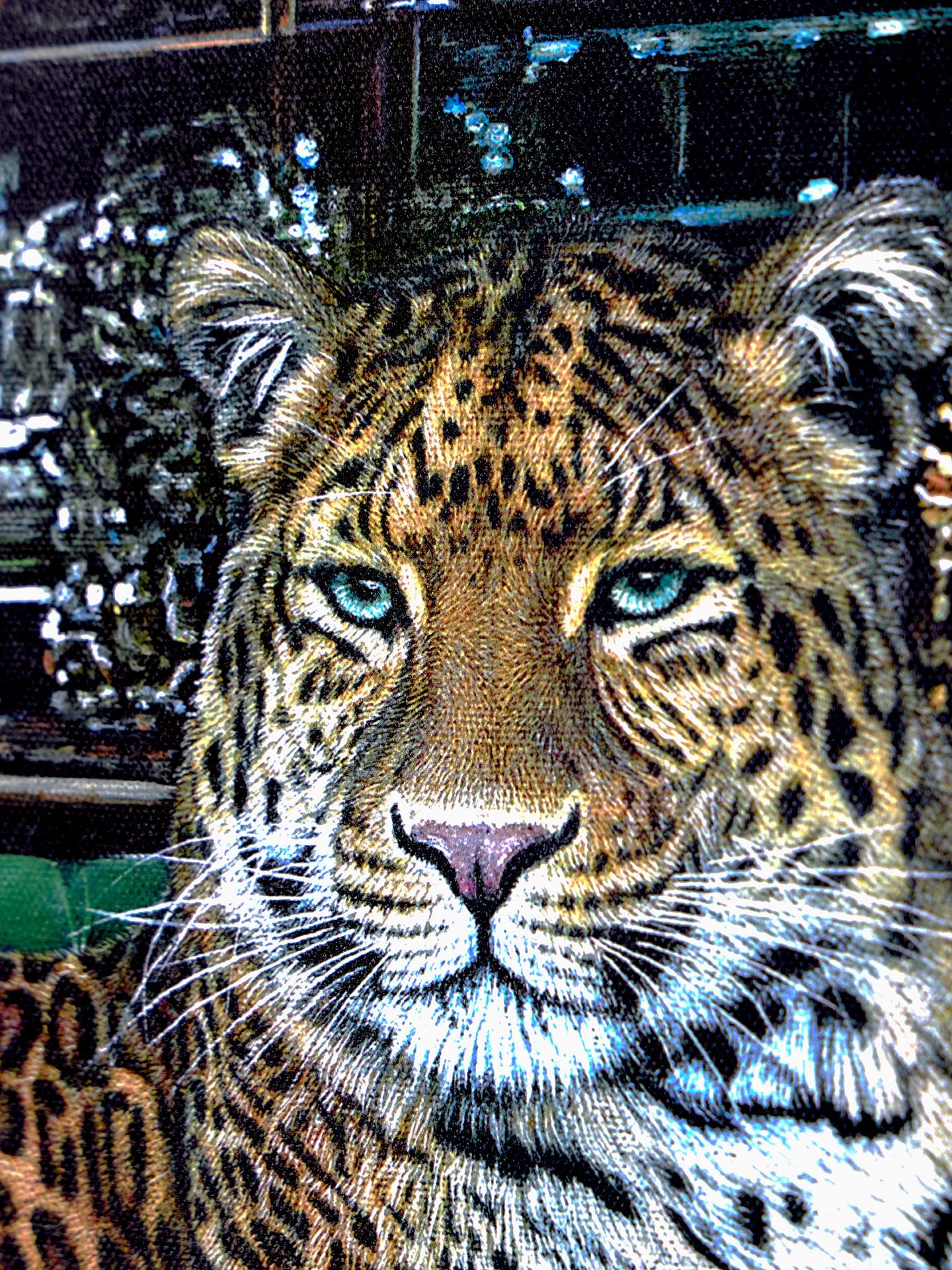 Stay Wild
