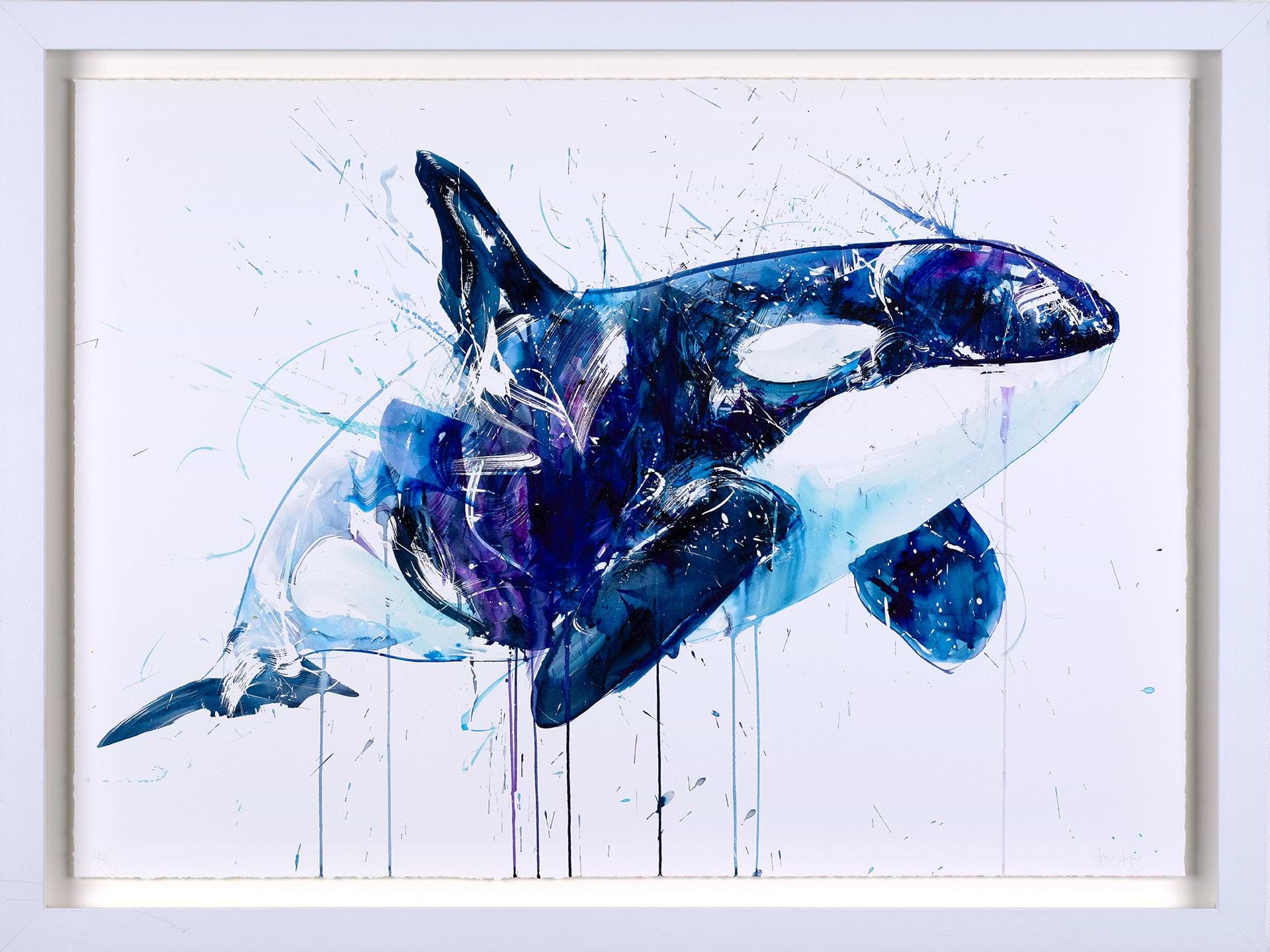 Orca