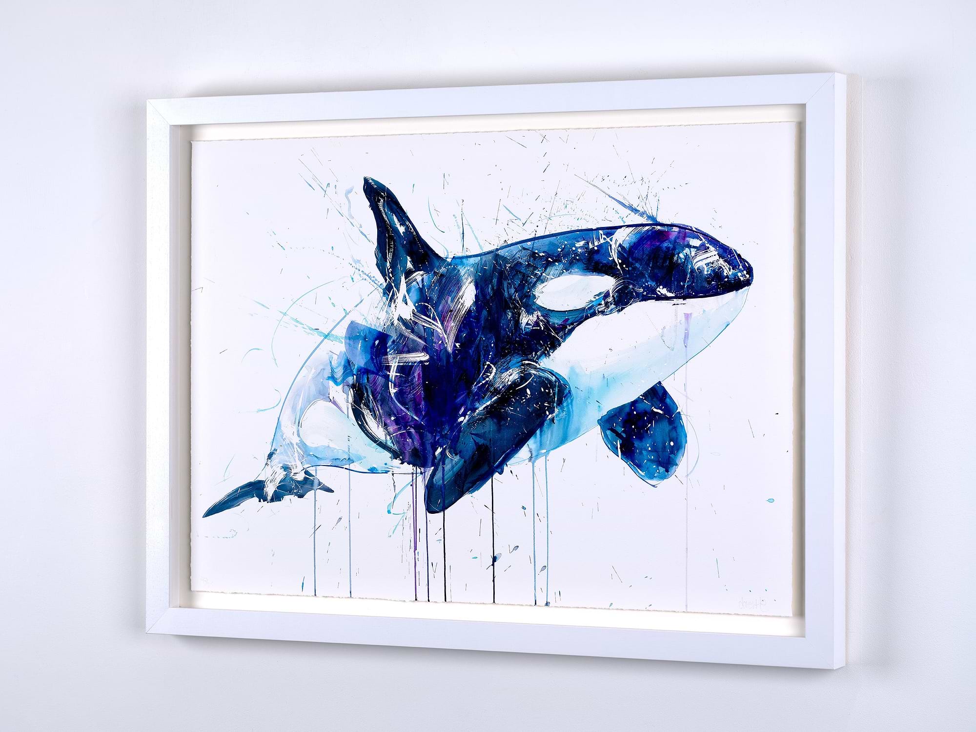 Orca