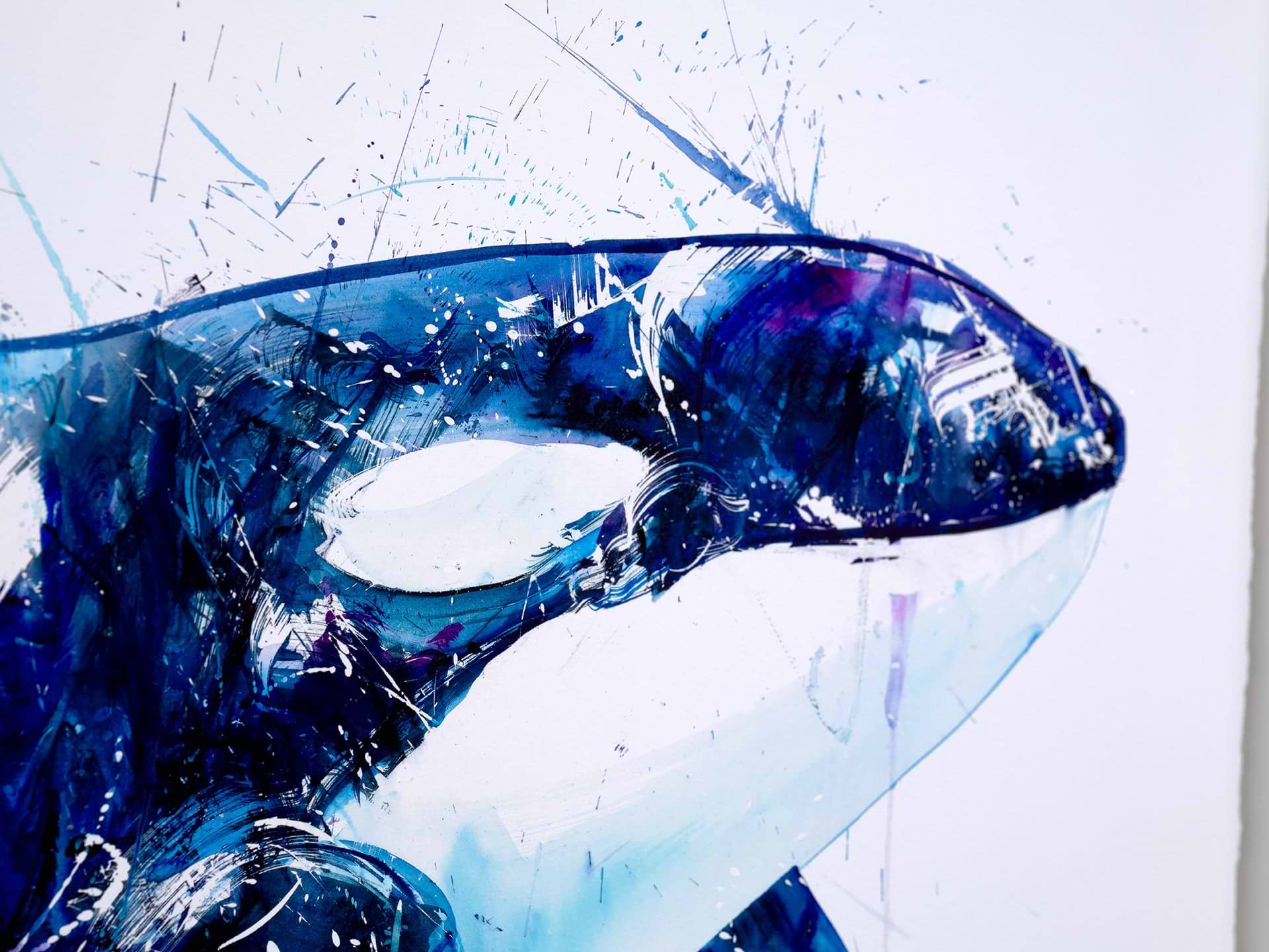Orca