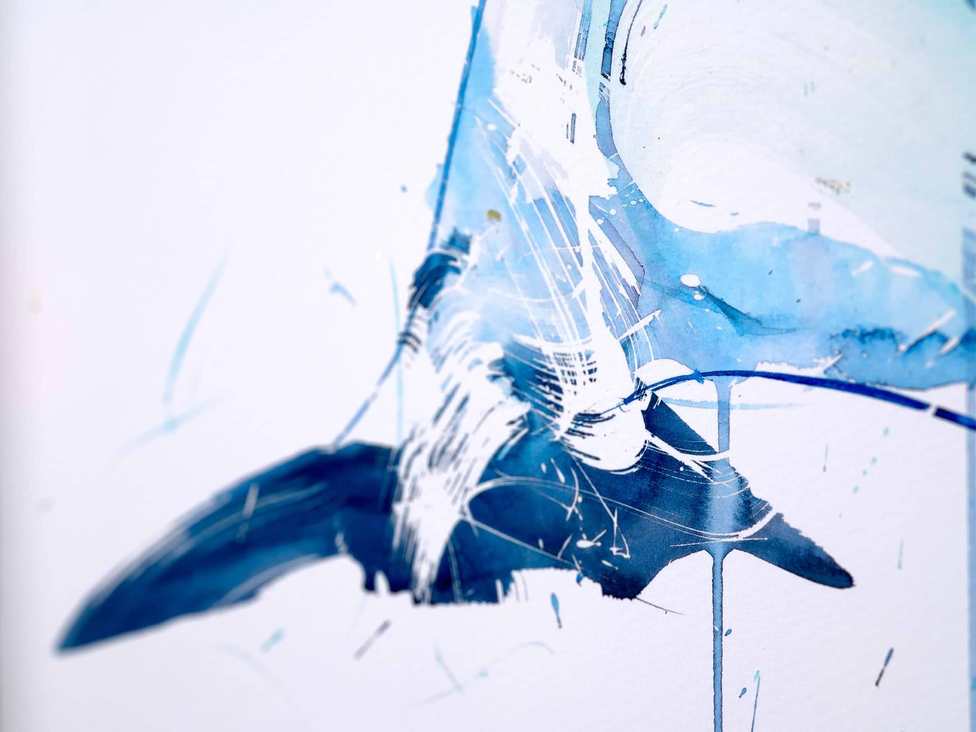 Orca