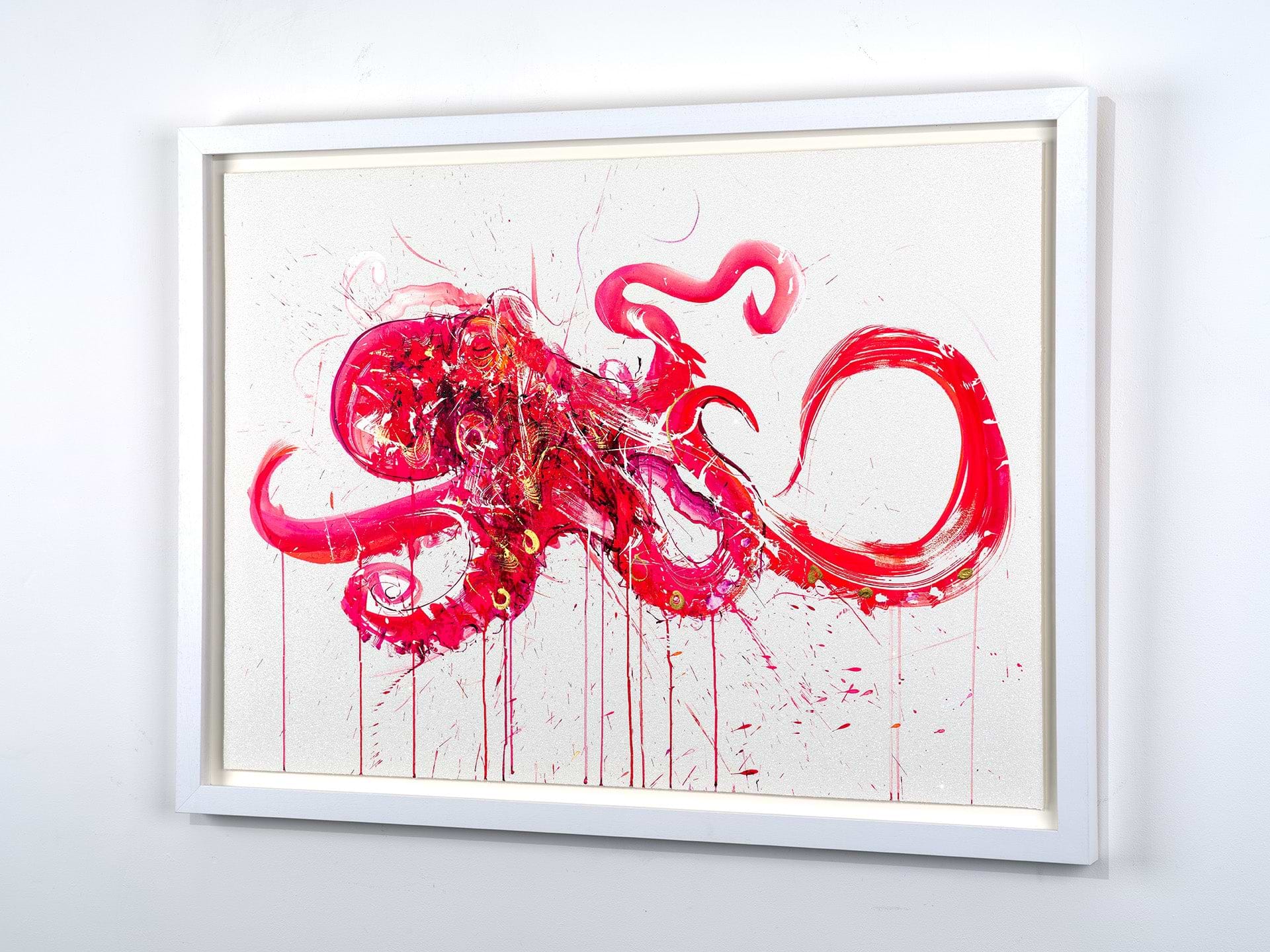 Octopus