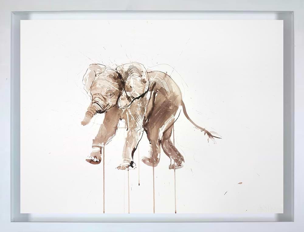 Baby Elephant Ink Study