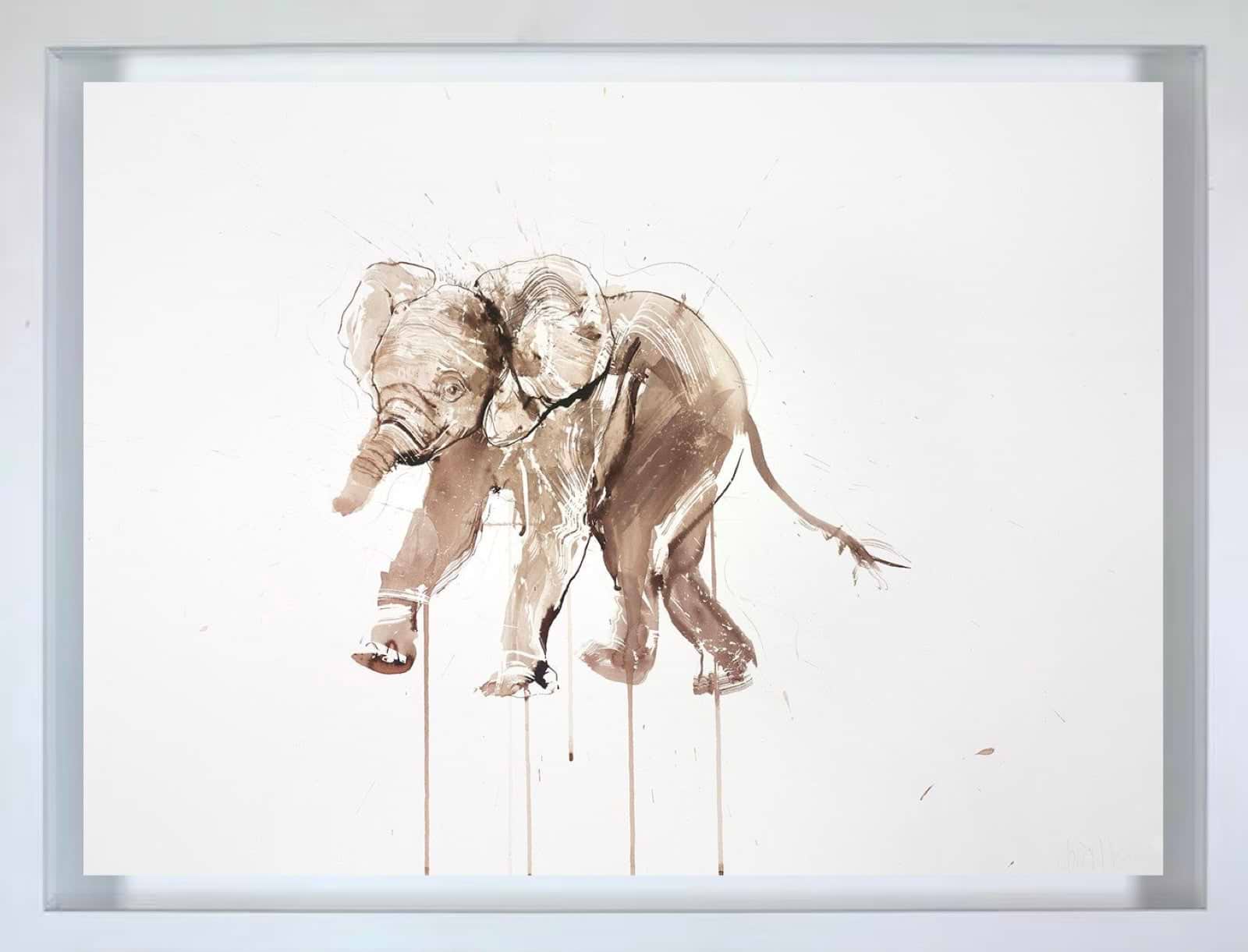 Baby Elephant Ink Study