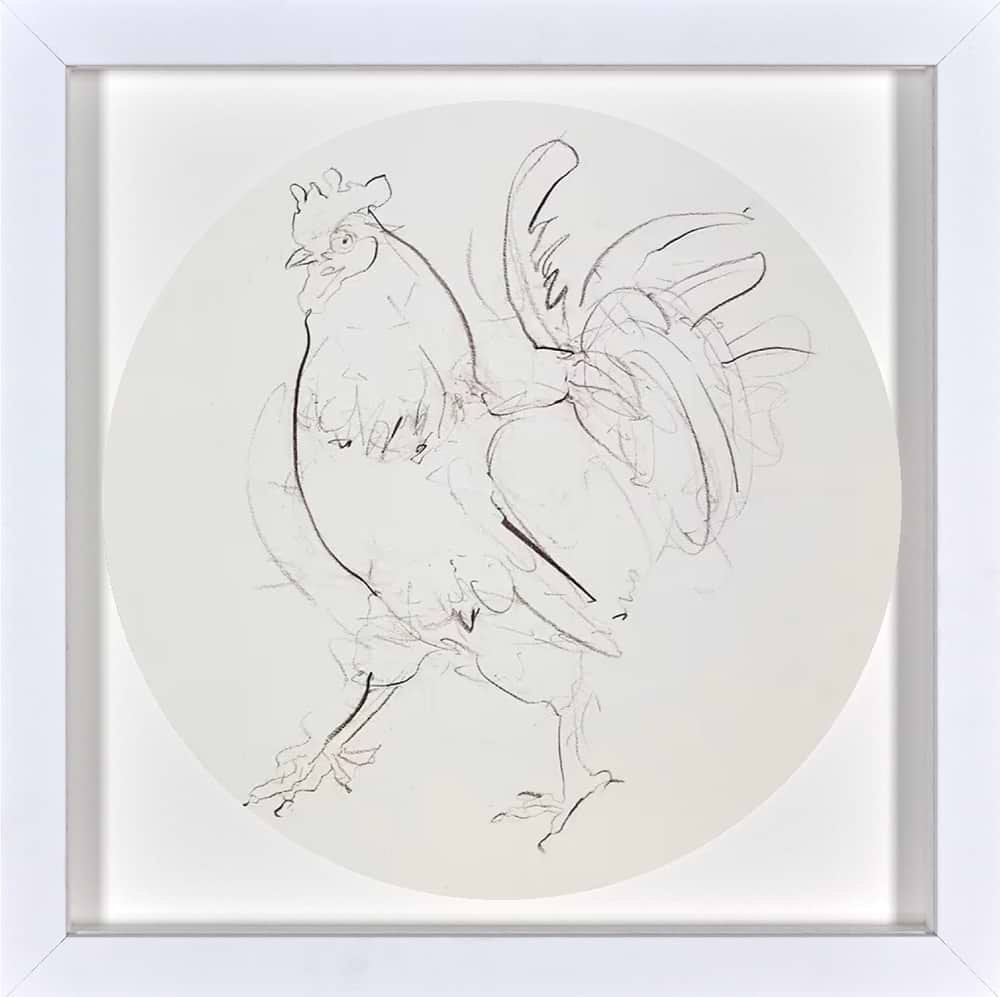 Rooster Sketch