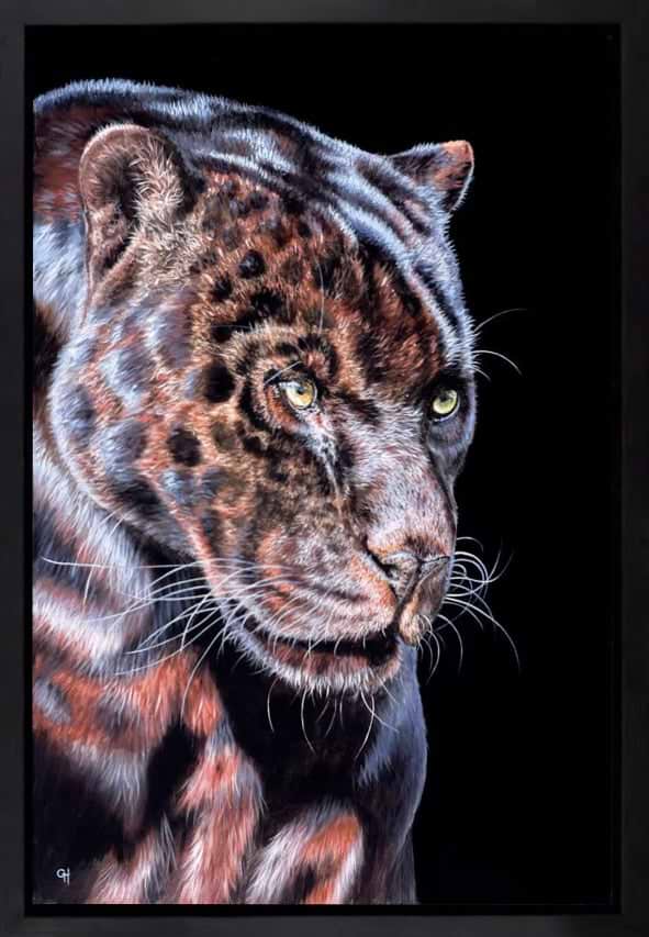Panther Prowling