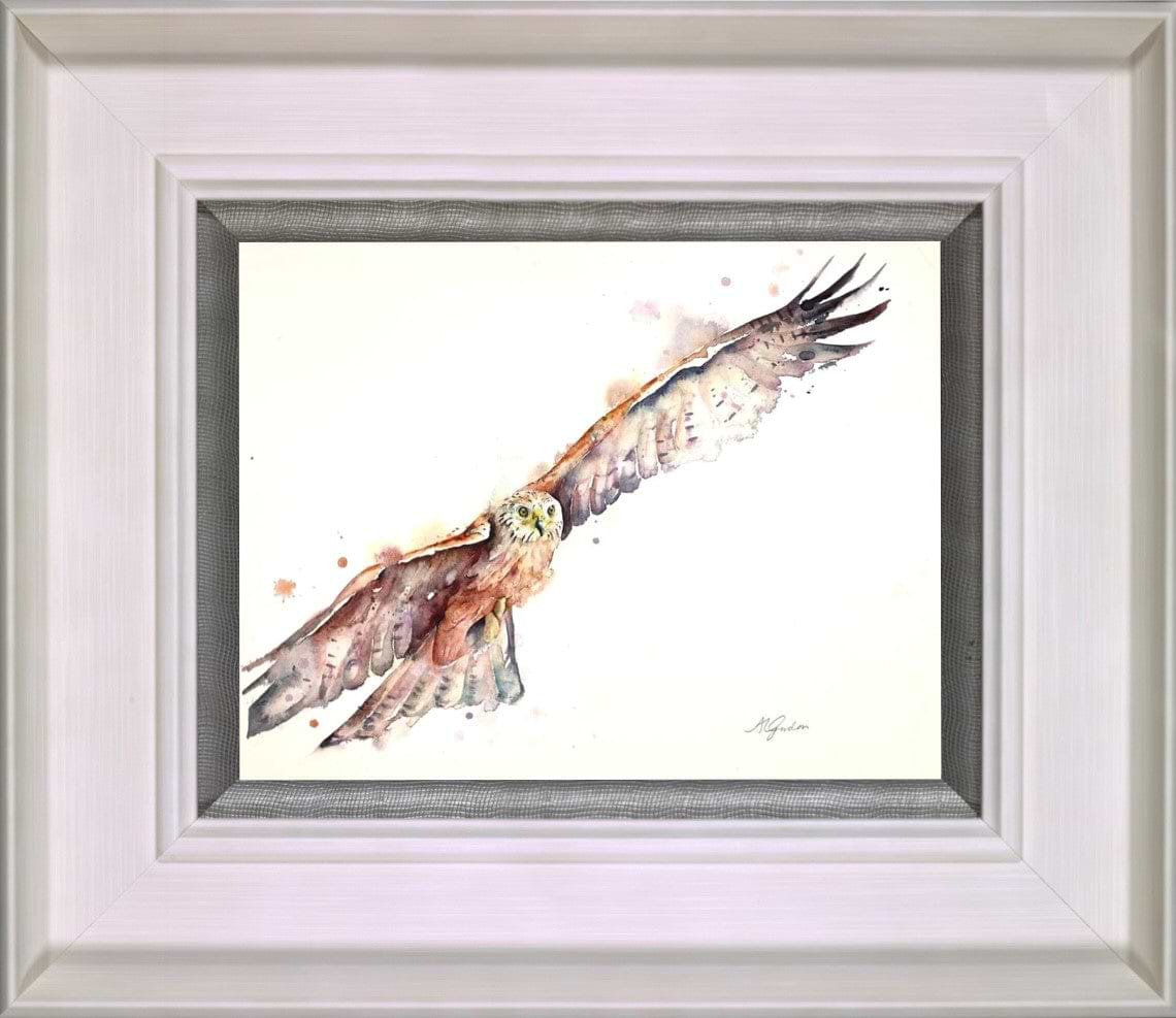 Soaring Red Kite