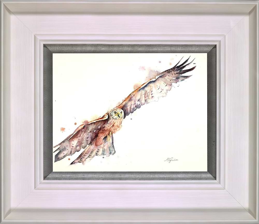 Soaring Red Kite