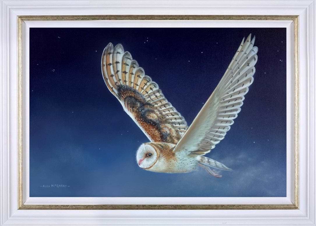 Flying Owl
