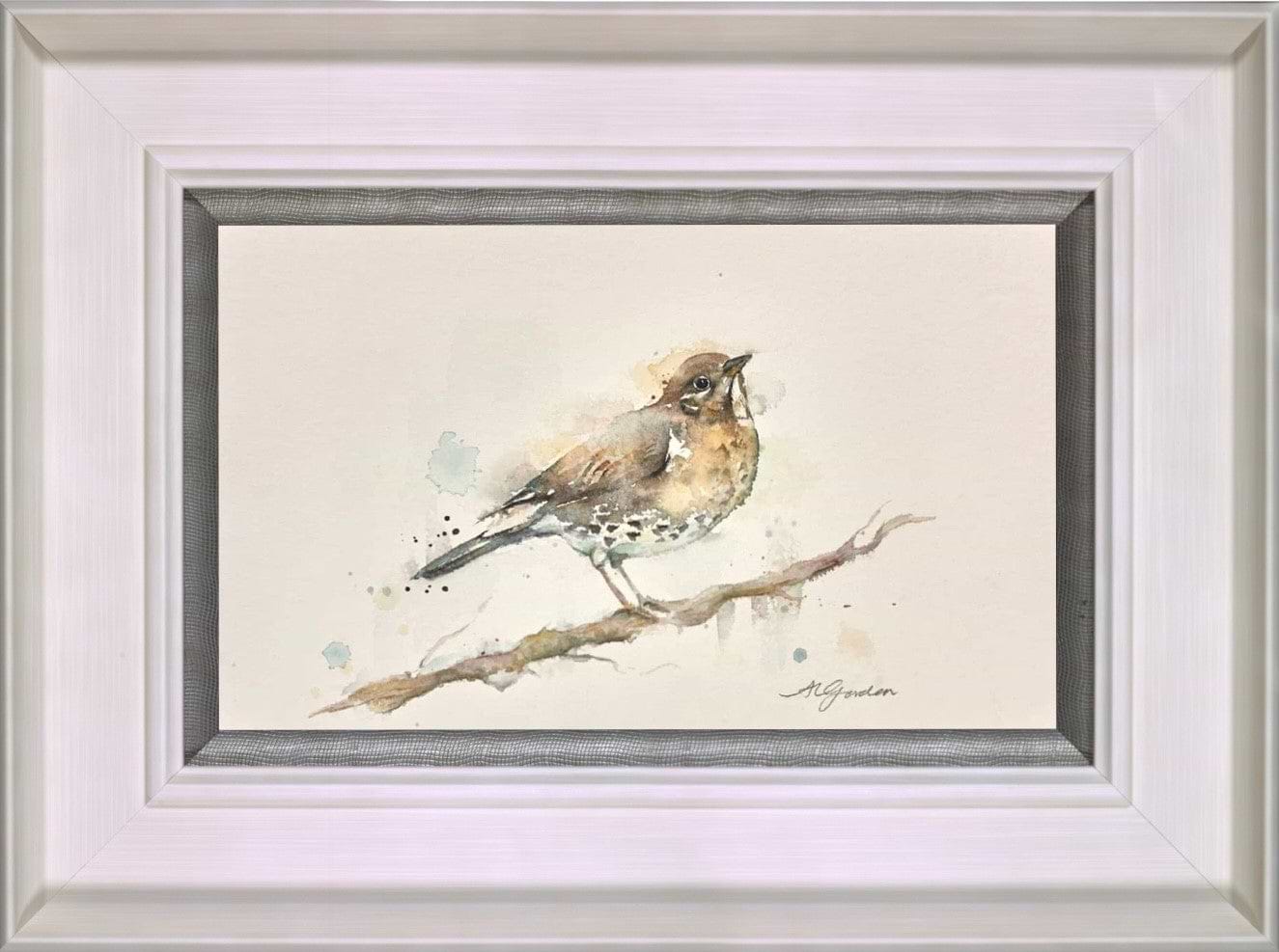 Pretty Song Thrush