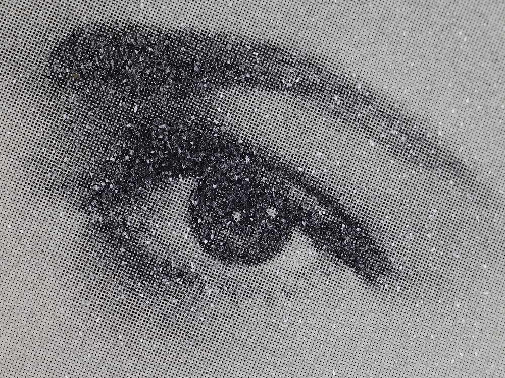 Grace Kelly, 2010 Black & White