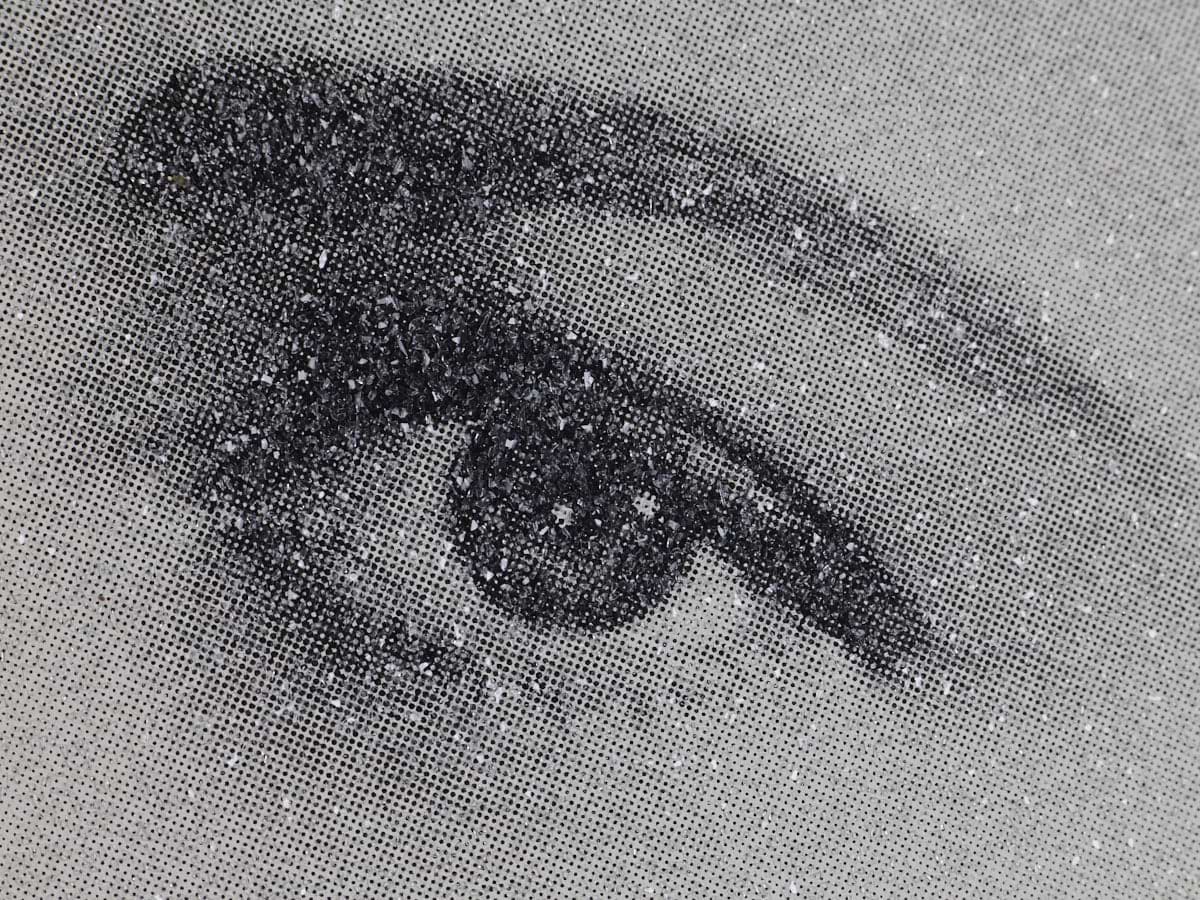 Grace Kelly, 2010 Black & White