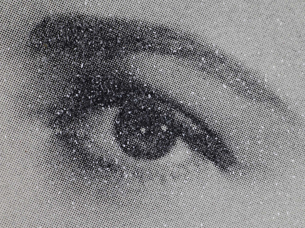 Grace Kelly, 2010 Black & White