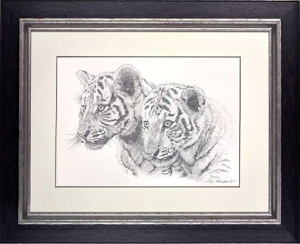 Two White Tiger Cubs