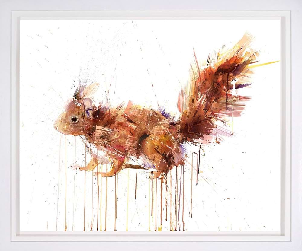 Baby Red Squirrel
