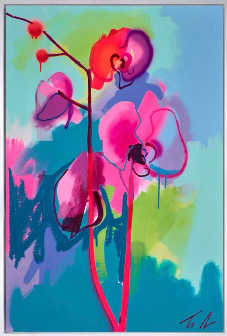 Pink Phalaina