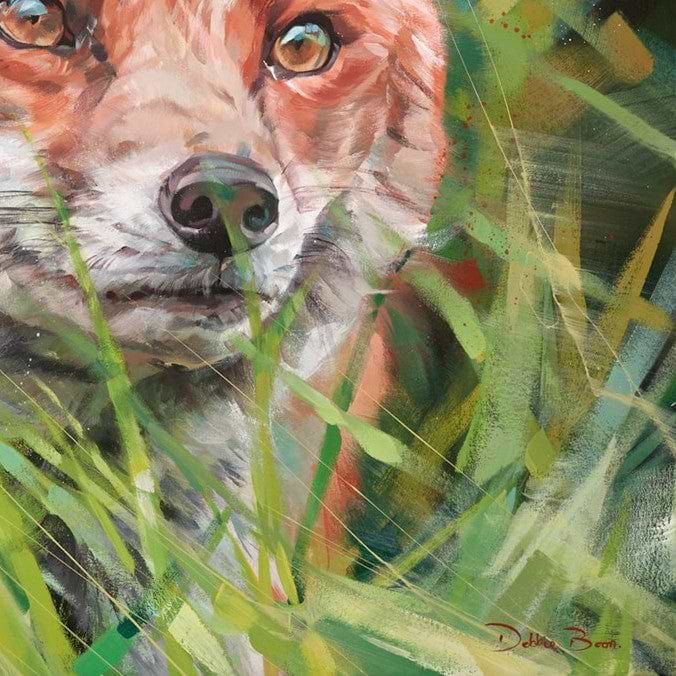 Fox In Long Grass