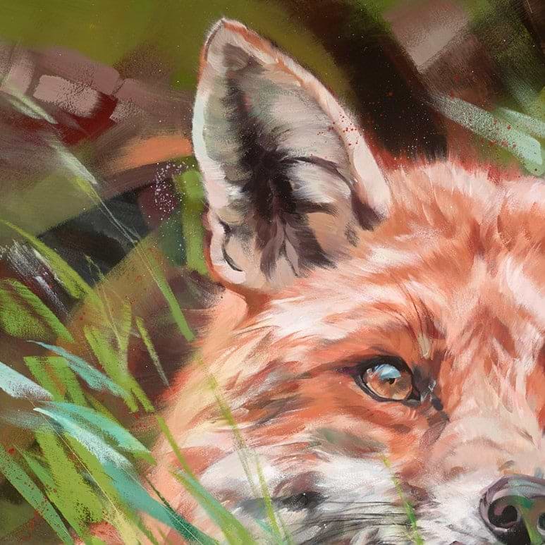 Fox In Long Grass