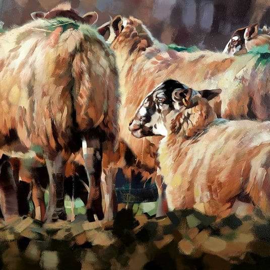 Evening Flock