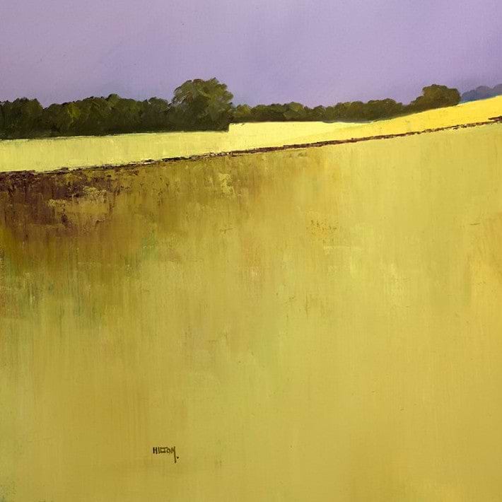 Fields Of Corn