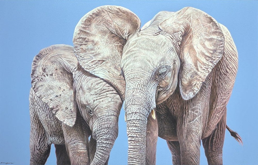 Elephants Demo