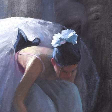 The Pink Ballet Shoes