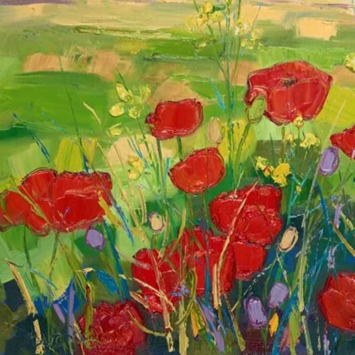 Poppy Fields With Yellow Flowers Near York
