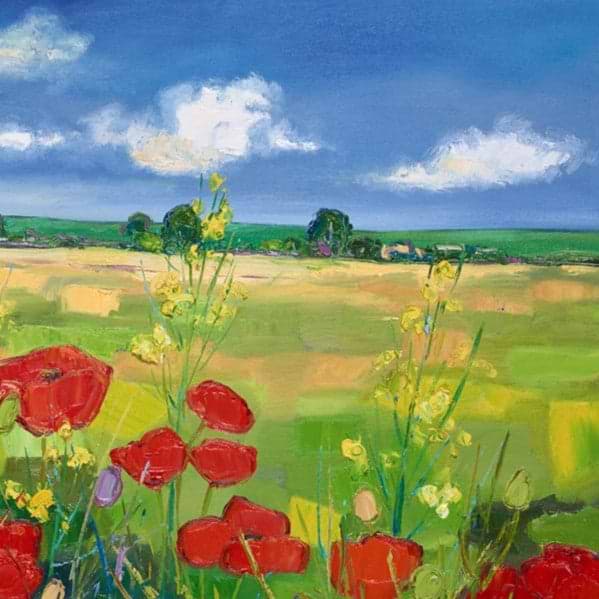 Poppy Fields With Yellow Flowers Near York