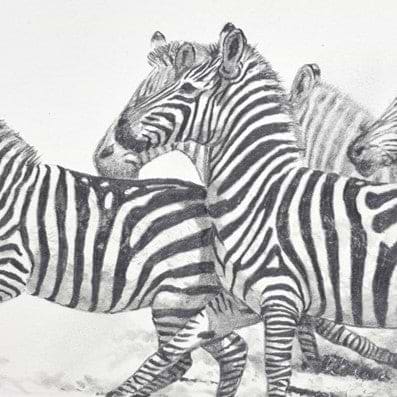 Stripes