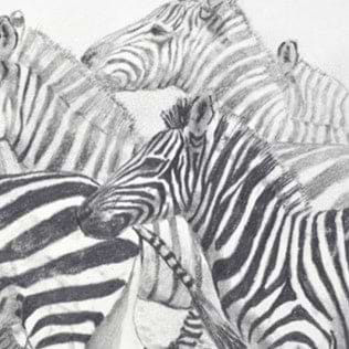 Stripes