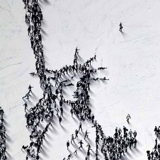 New York Groove