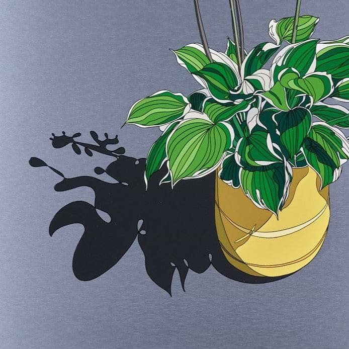 Hosta