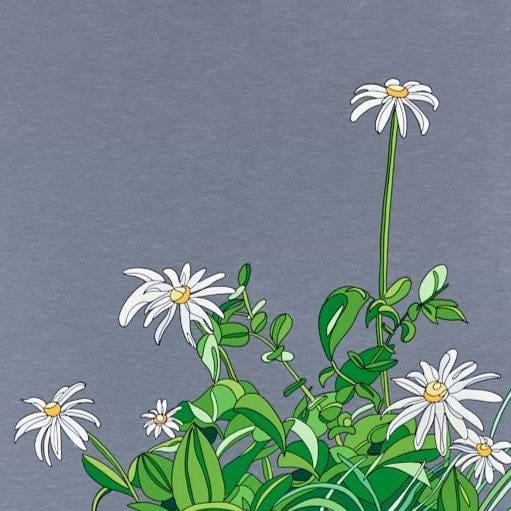 Oxeye Daisies