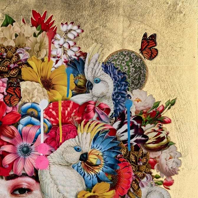 Bloom