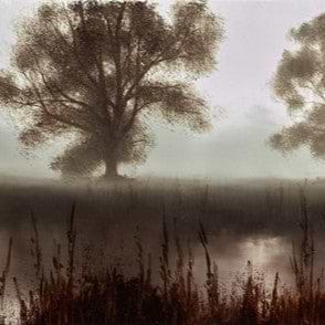 A Time For Reflection II