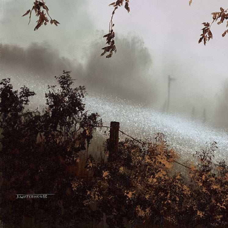 Pathway To The Enchanted Meadow