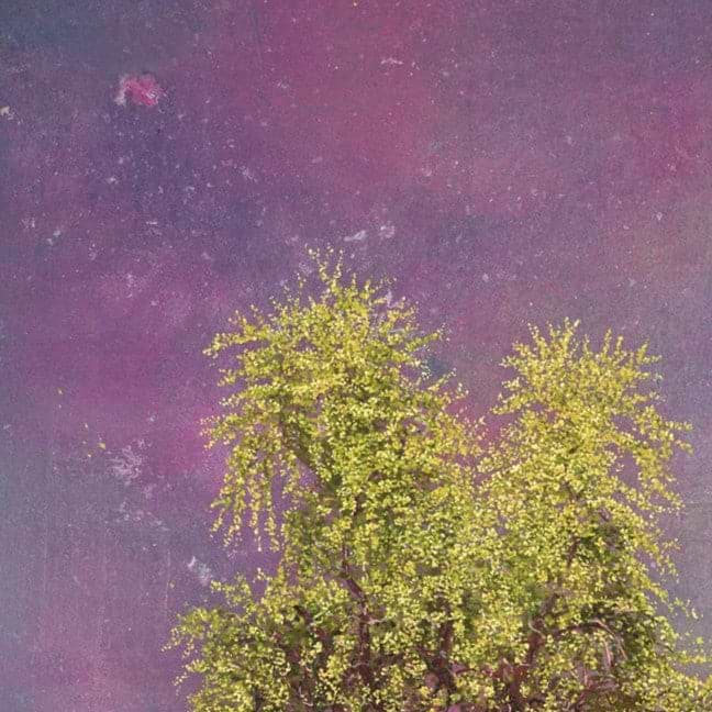 Weeping Willow