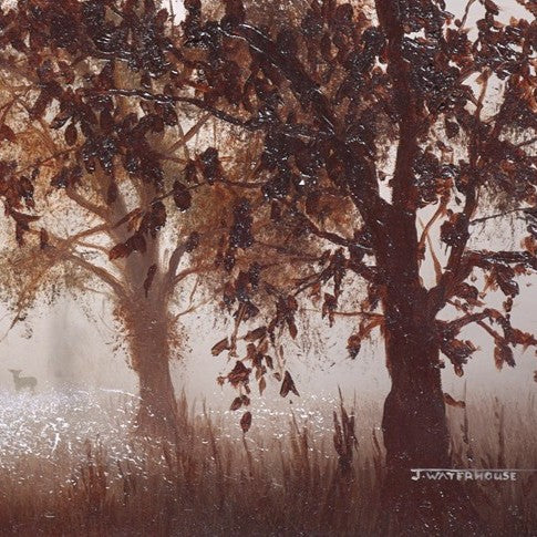 The Fleeting Glimpse