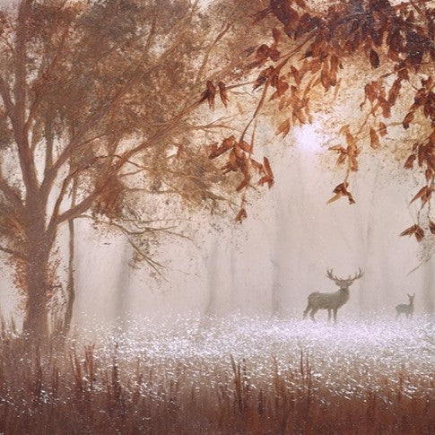 The Fleeting Glimpse