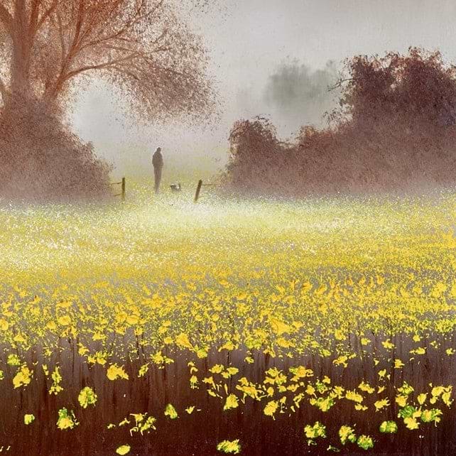 Buttercup Meadow