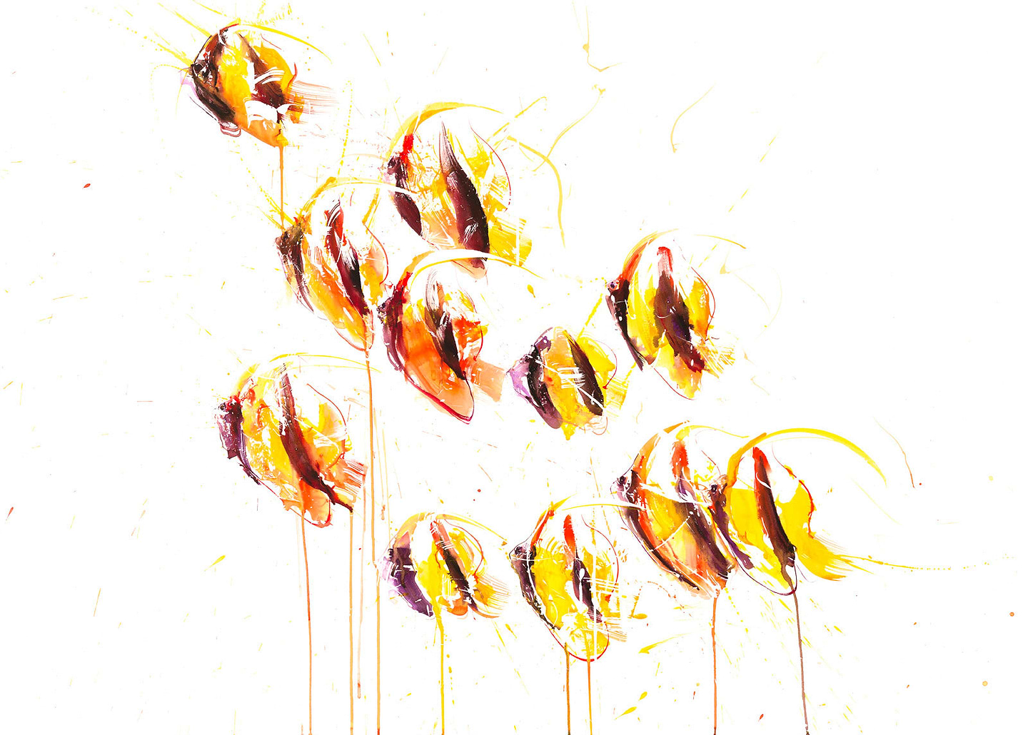 Angel Fish