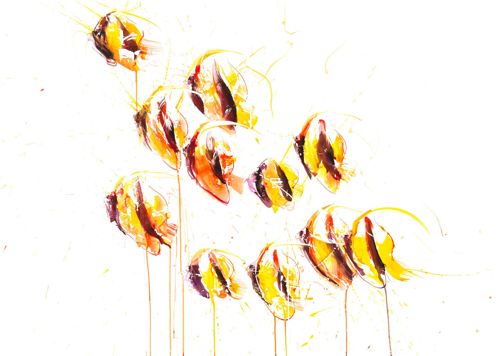 Angel Fish