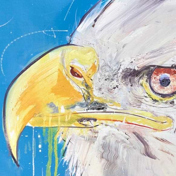 Bald Eagle II