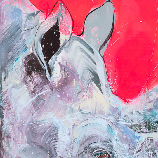 Black Rhino