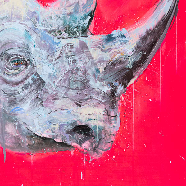 Black Rhino