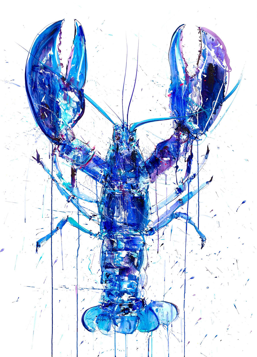 Blue Lobster
