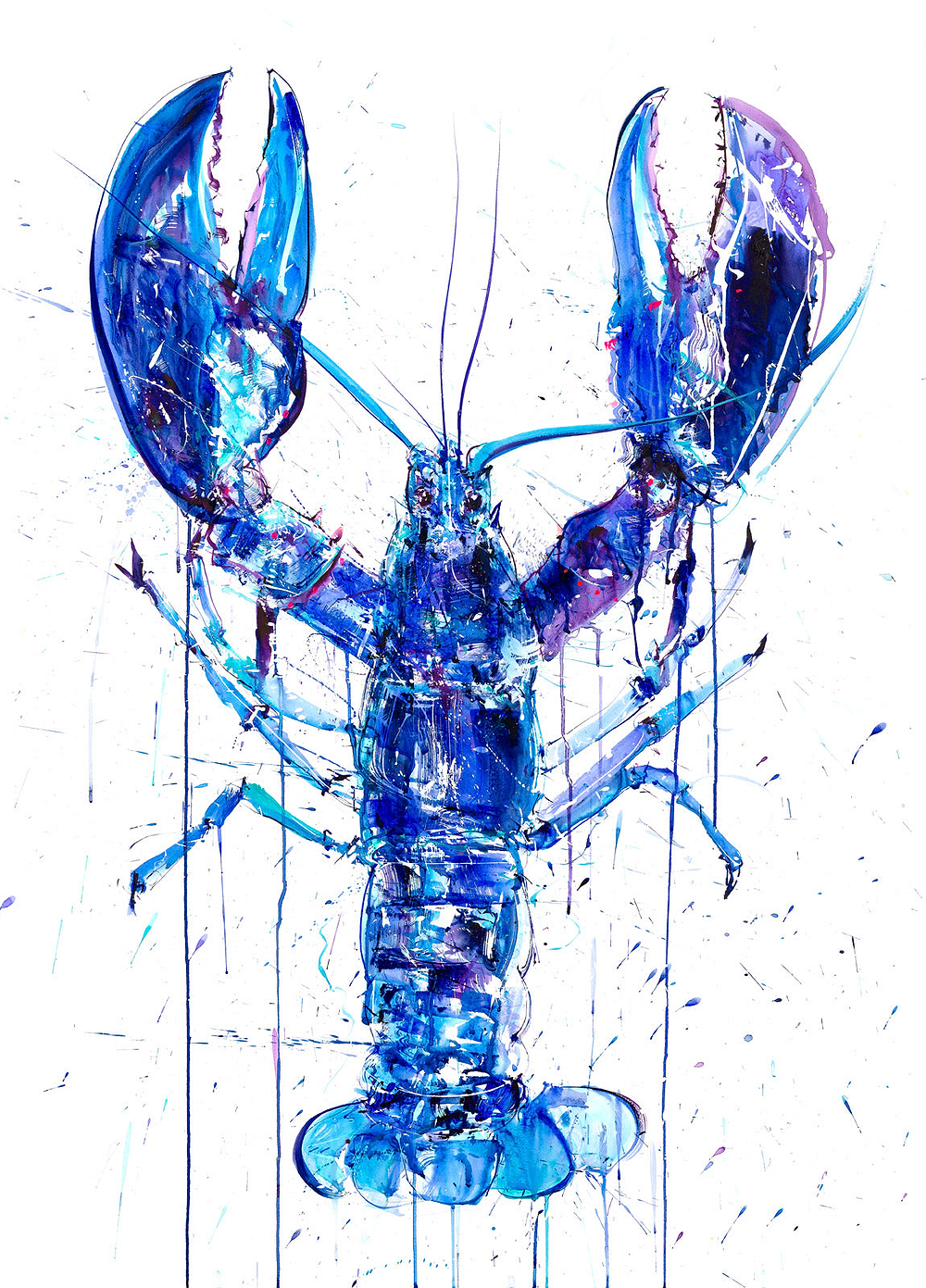 Blue Lobster
