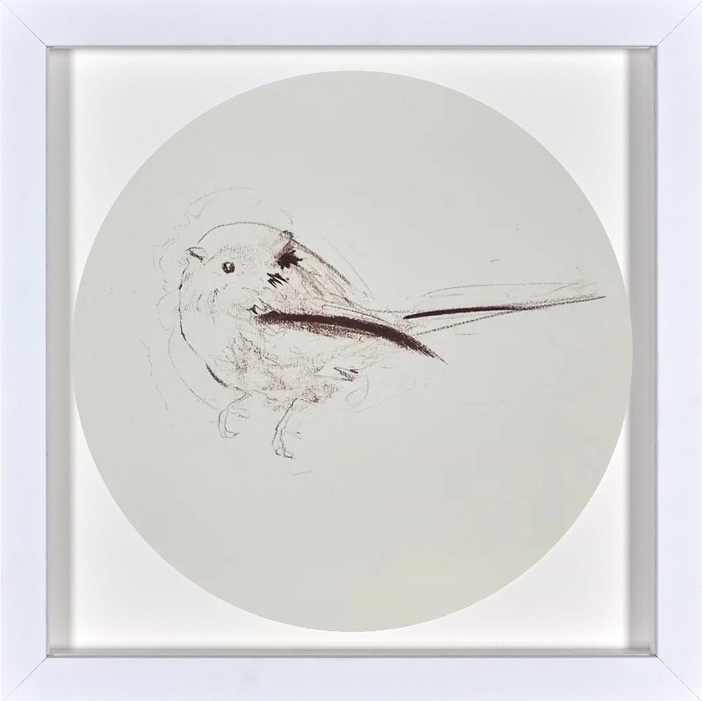 Long Tailed Tit Sketch