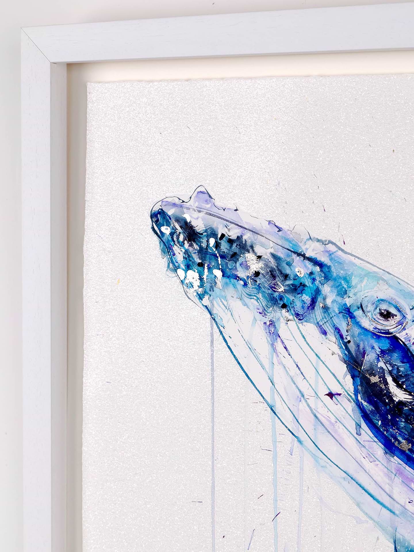 Humpback Whale Deluxe