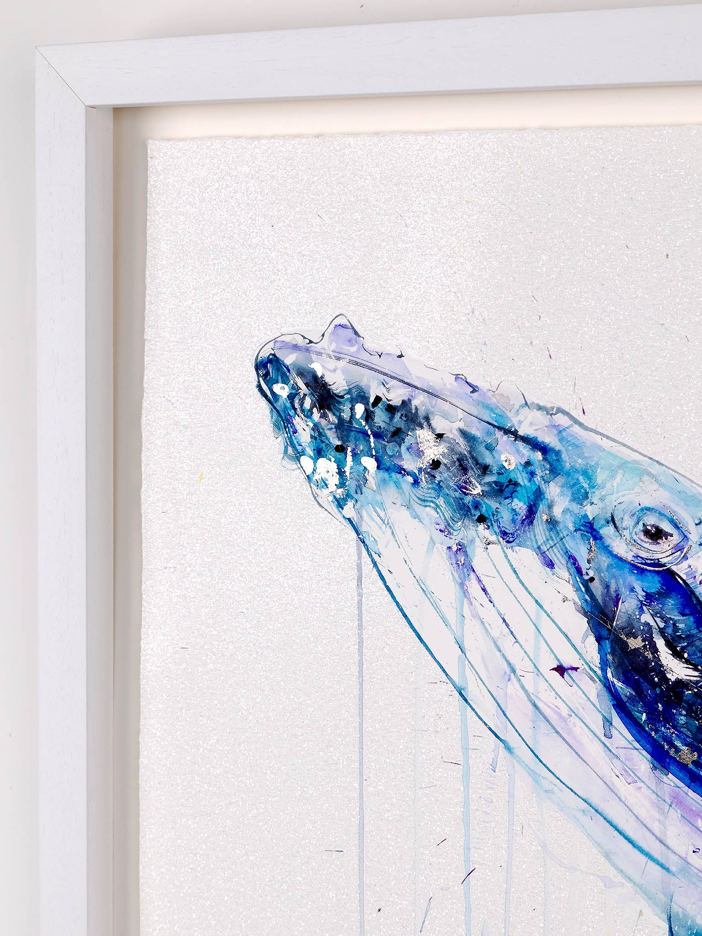 Humpback Whale Deluxe